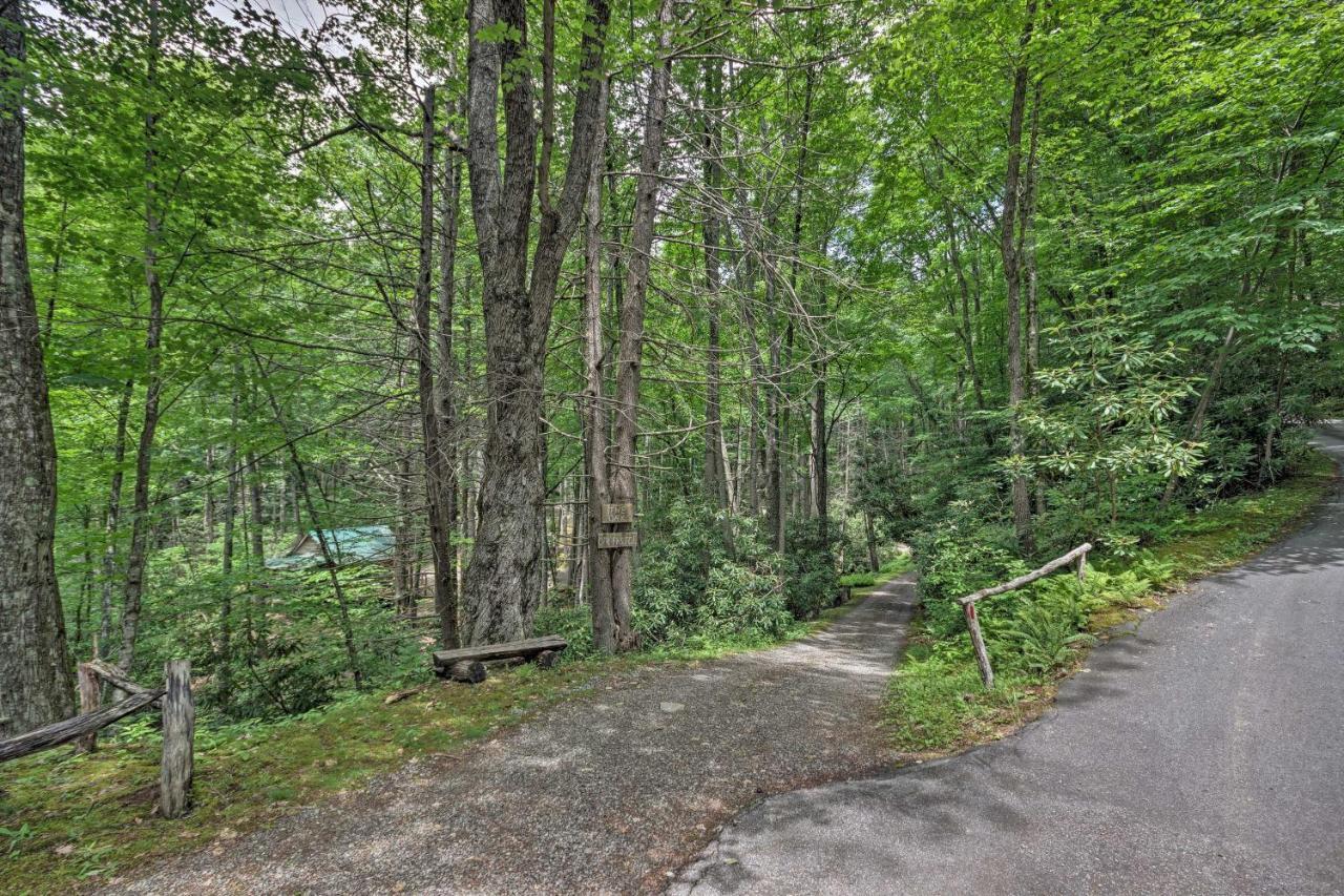 Creekside Cabin With Deck In Pisgah Forest! Barnardsville Buitenkant foto