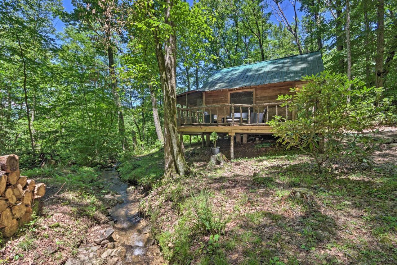 Creekside Cabin With Deck In Pisgah Forest! Barnardsville Buitenkant foto