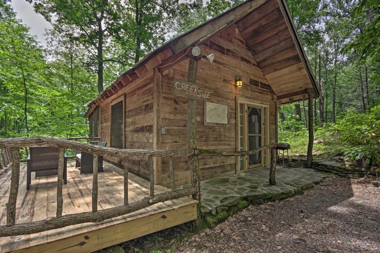 Creekside Cabin With Deck In Pisgah Forest! Barnardsville Buitenkant foto