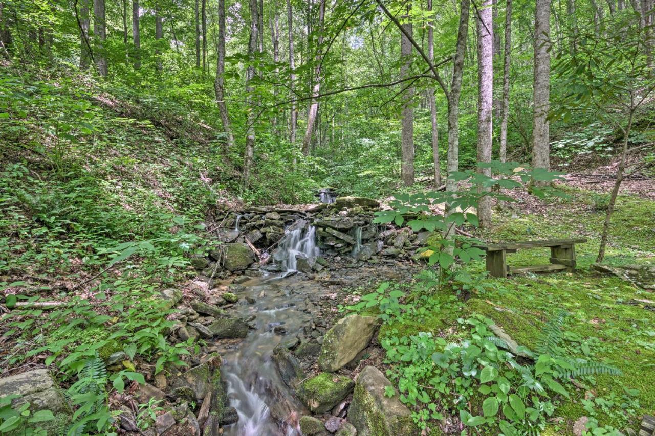 Creekside Cabin With Deck In Pisgah Forest! Barnardsville Buitenkant foto
